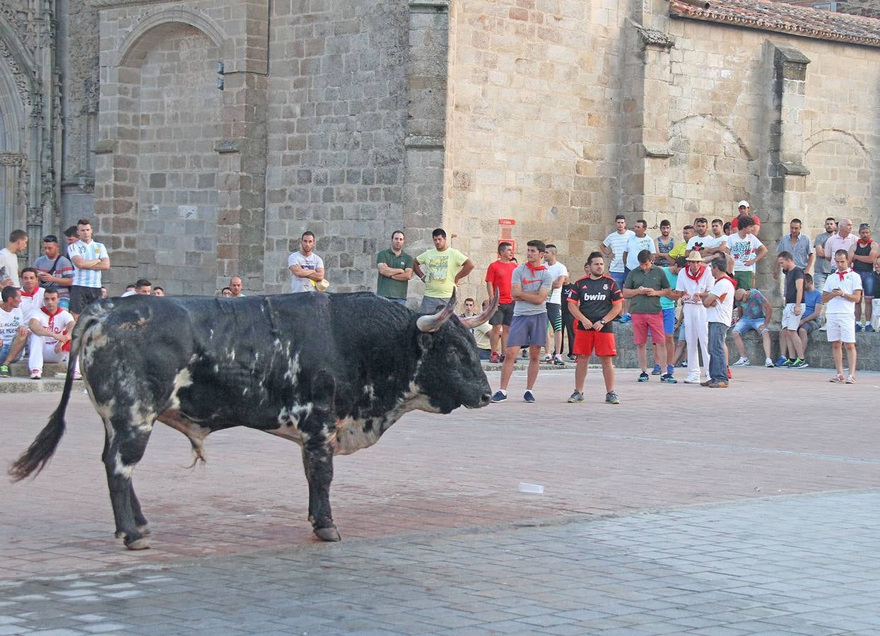 Miércoles, 24 de junio: Fallece corneado un vecino de Moraleja en los Sanjuanes de Coria. Fotografías: HOY