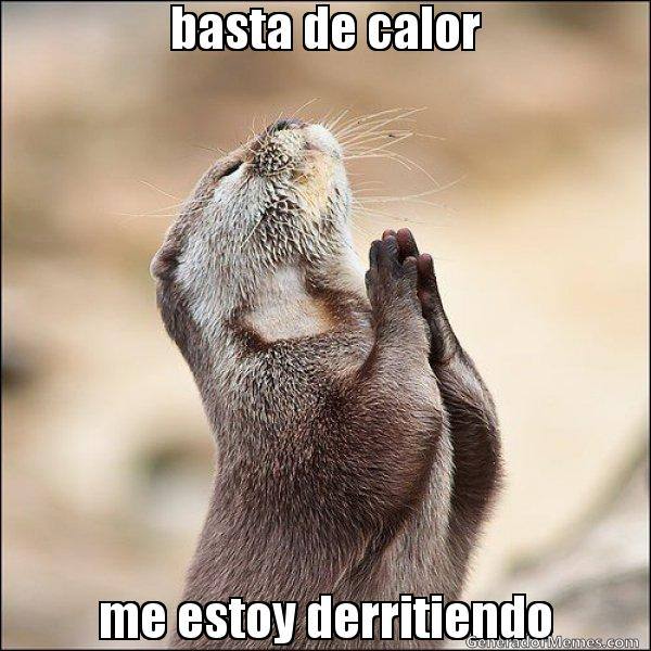 Los mejores &#039;memes&#039; para afrontar la ola de calor