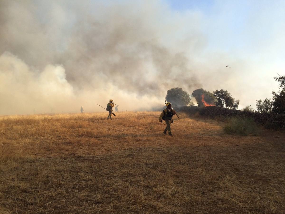 Sábado, 11 de julio: Un incendio que ha dejado más de 100 hectáreas quemadas, alertaron a parte de la comarca de Trujillo. Las llamas llegaron justo a la entrada de Ibahernando. Fotografía: Javier Sánchez