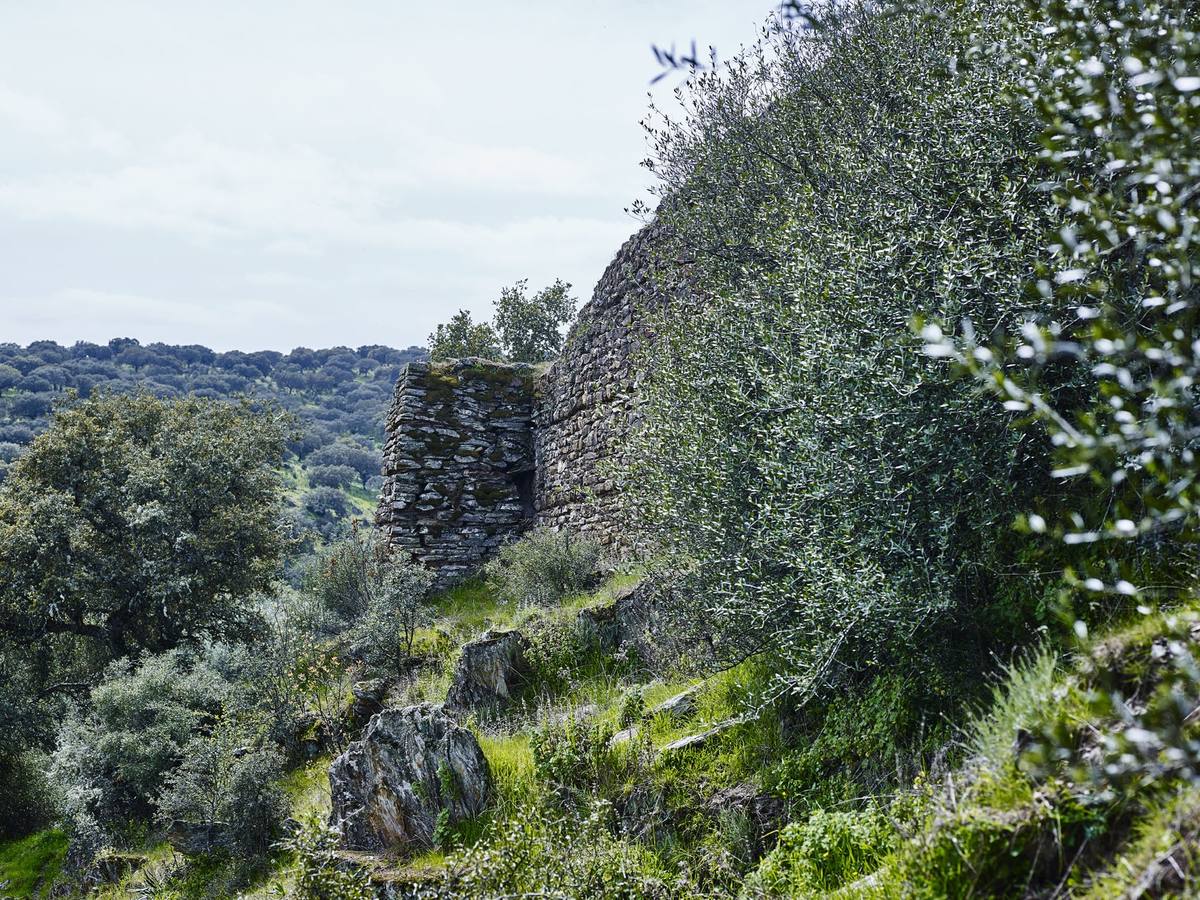 Torre cuadrangilar entre la vegetación