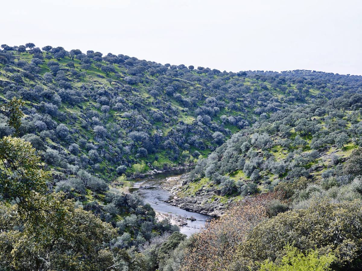 Confluencia de los ríos Almonte y Tozo