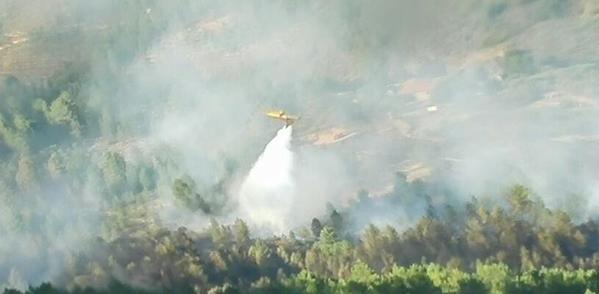 Incendio forestal declarado en Acebo