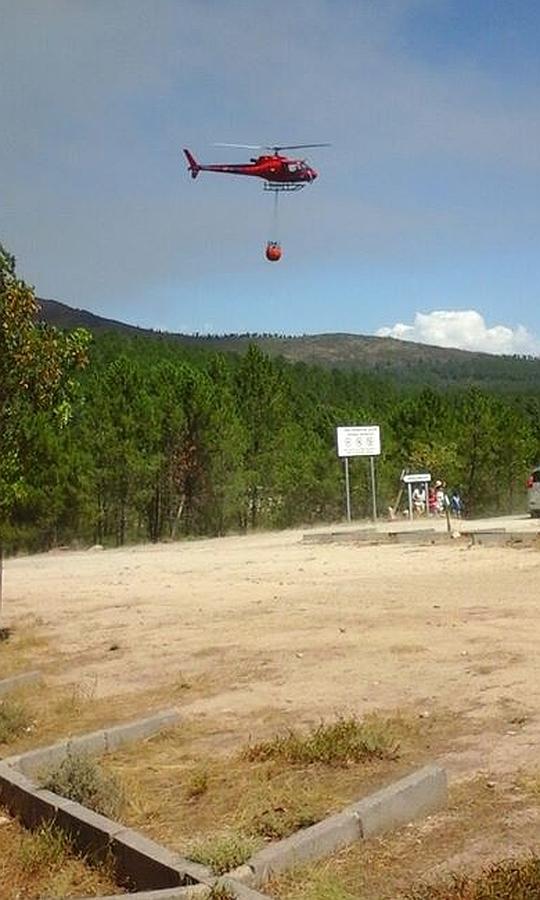 Incendio forestal declarado en Acebo