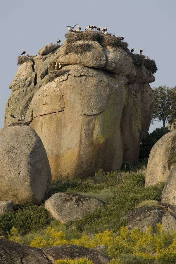 Fotografía: www.turismoextremadura.com