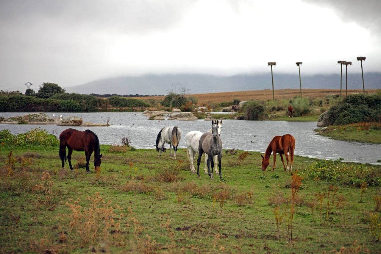 Fotografía: www.turismoextremadura.com