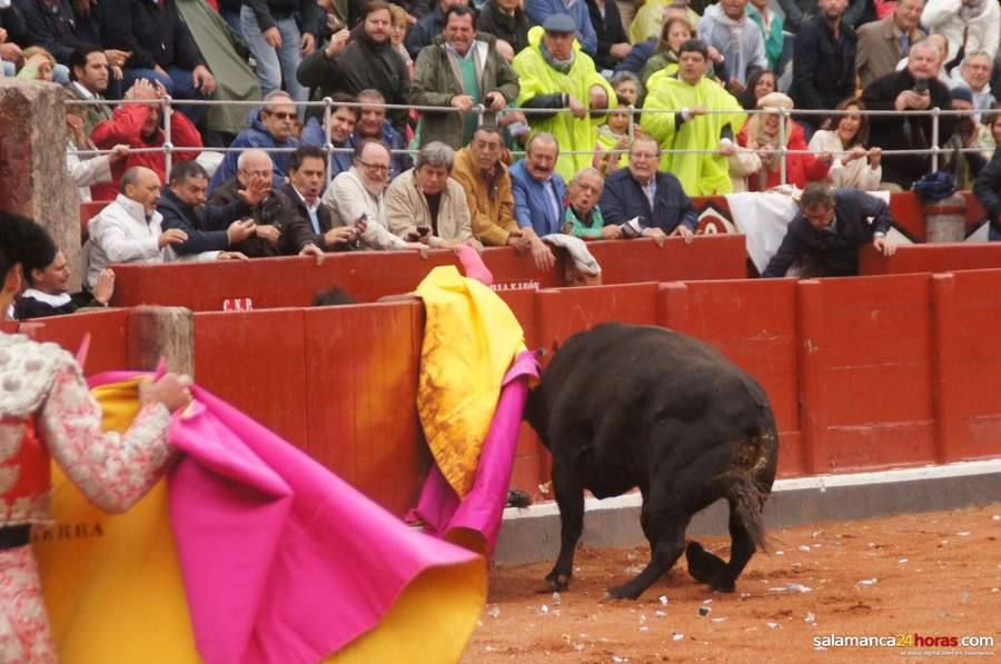 Cogida de Miguel Ángel Perera en Salamanca