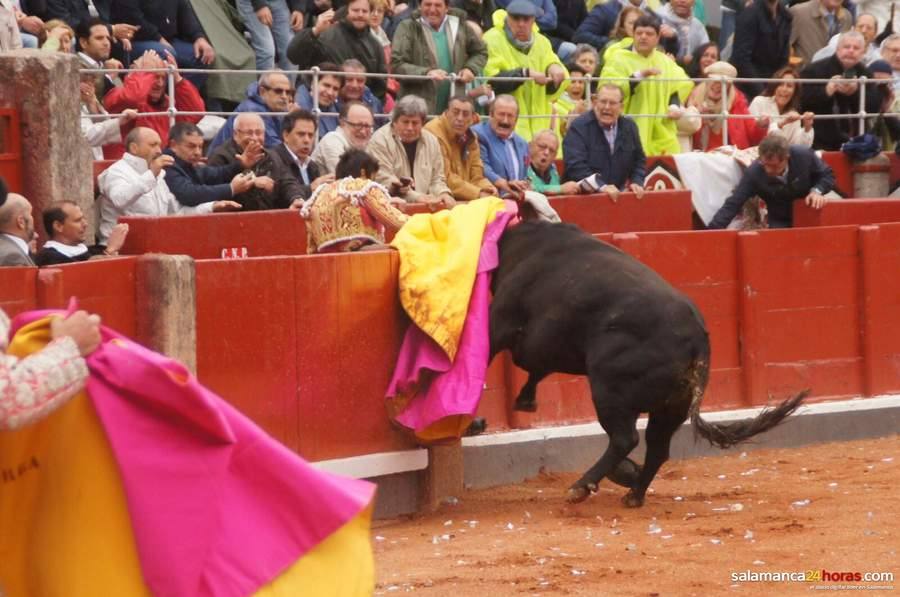 Cogida de Miguel Ángel Perera en Salamanca