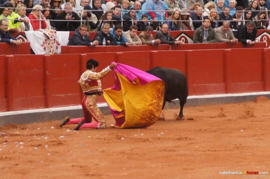 Cogida de Miguel Ángel Perera en Salamanca