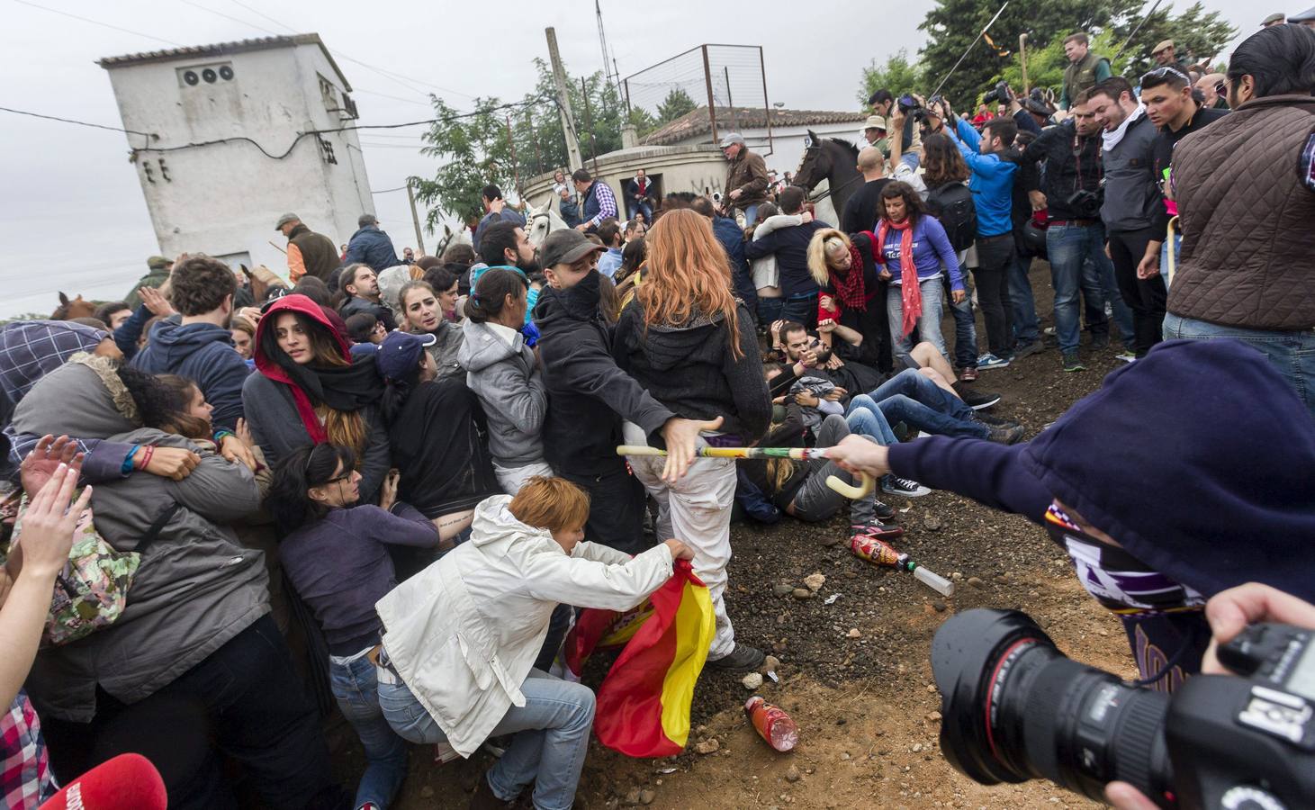 El Toro de la Vega 2015