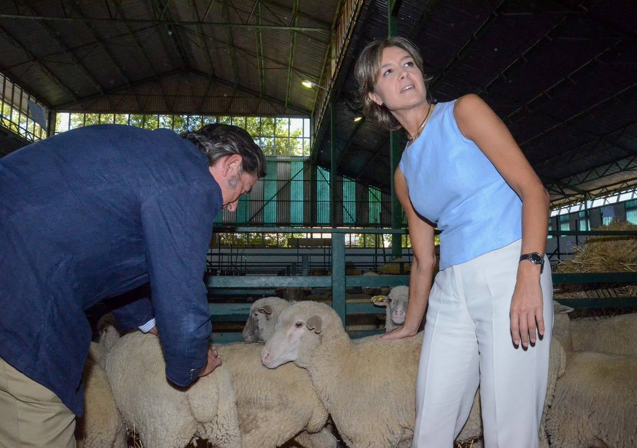 Inauguración de la Feria Internacional Ganadera de Zafra 2015