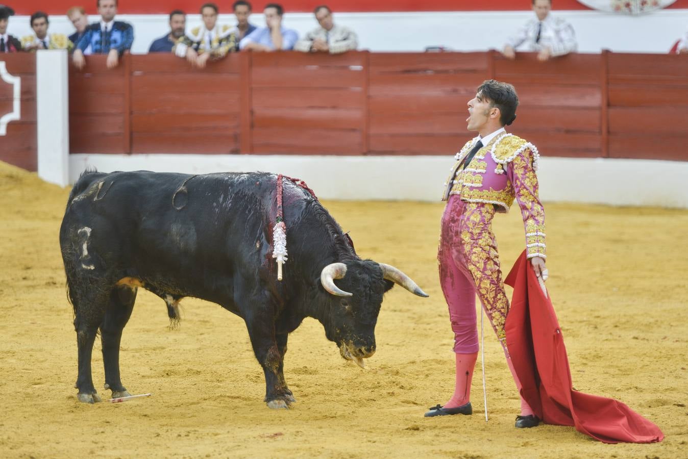 Posada de Maravillas triunfa en su alternativa en Zafra