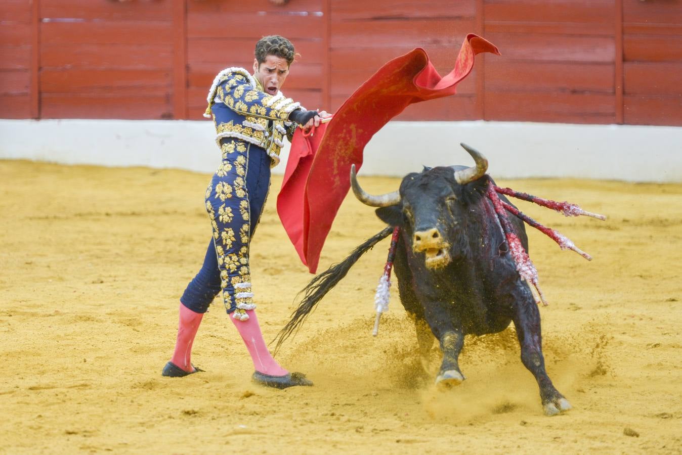 Posada de Maravillas triunfa en su alternativa en Zafra