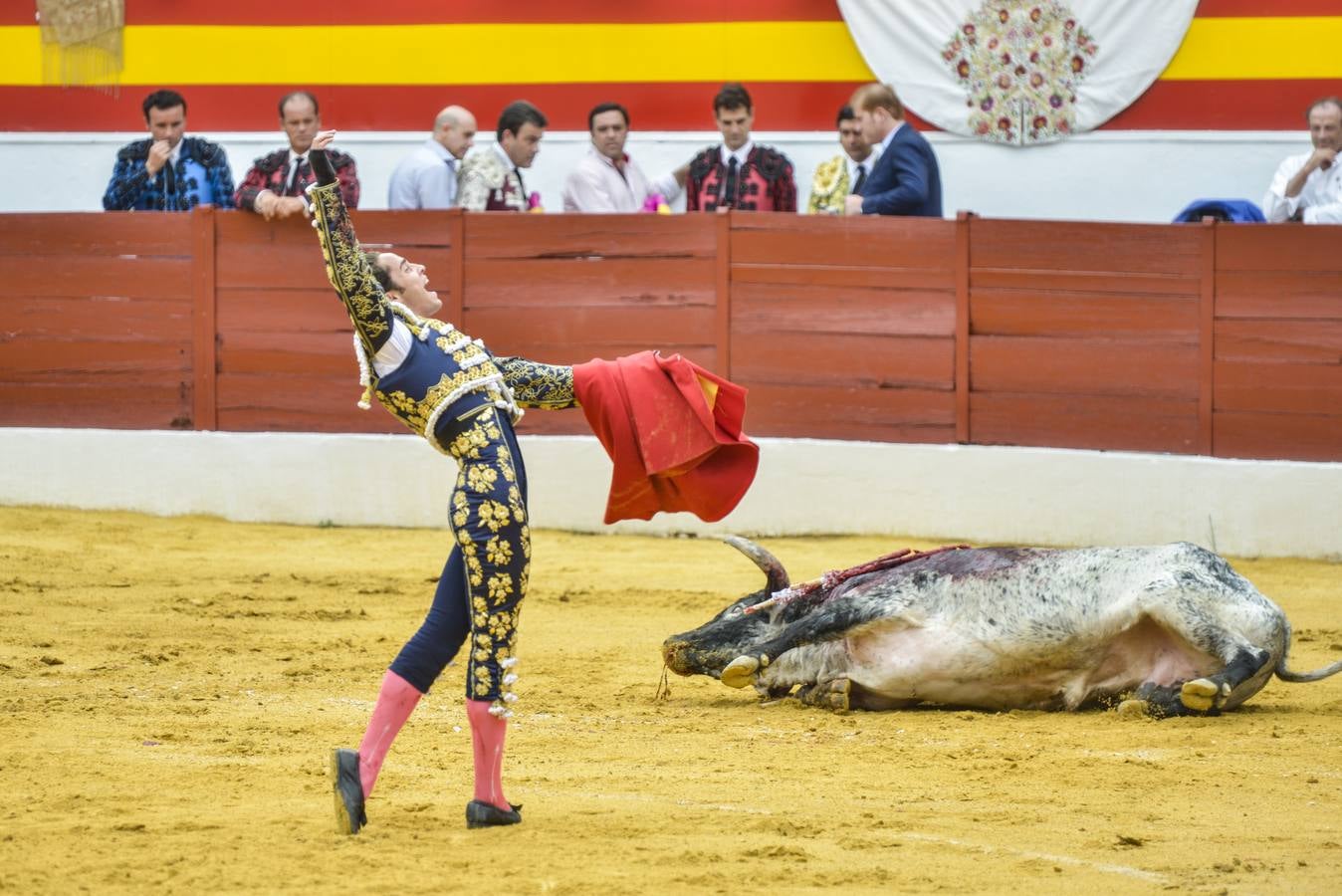 Sábado, 3 de octubre: Posada de Maravillas salió a hombros en su alternativa acompañado por Morante y Talavante. La terna ofreció  una gran tarde de toros y abrieron la puerta grande en la primera corrida de la feria de Zafra. Fotografía: JV Arnelas