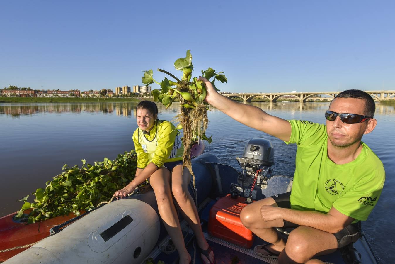 El Club de Piragüismo de Badajoz quita camalote del Guadiana