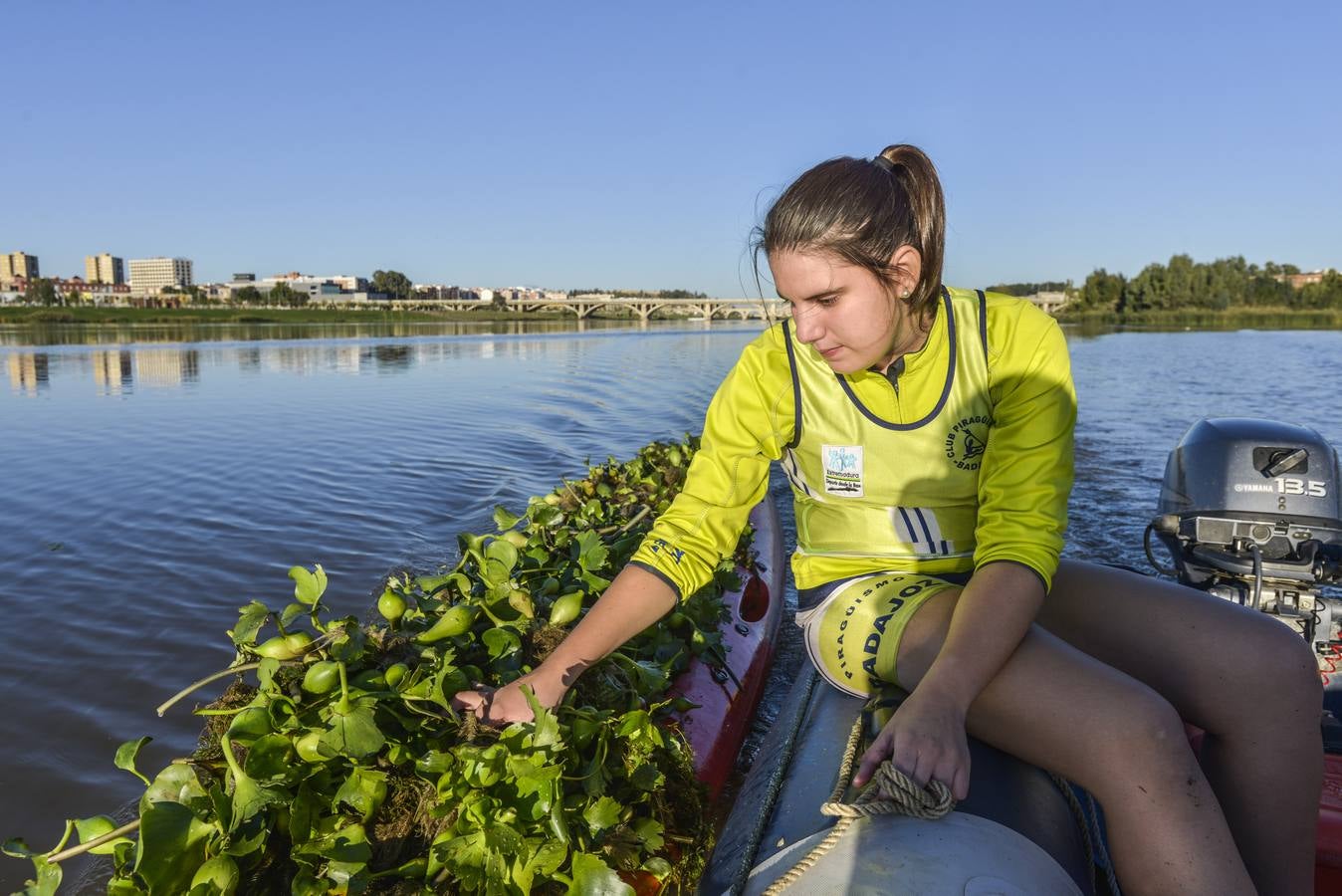 El Club de Piragüismo de Badajoz quita camalote del Guadiana