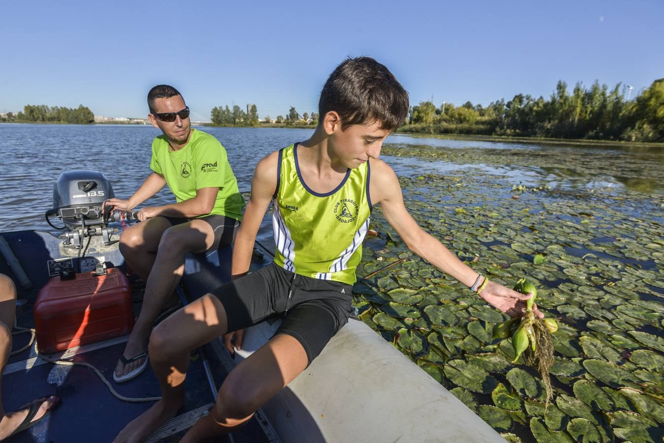 El Club de Piragüismo de Badajoz quita camalote del Guadiana