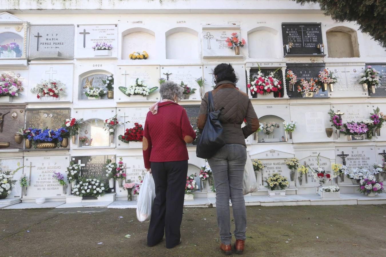 Día de Todos los Santos en el cementerio de Plasencia