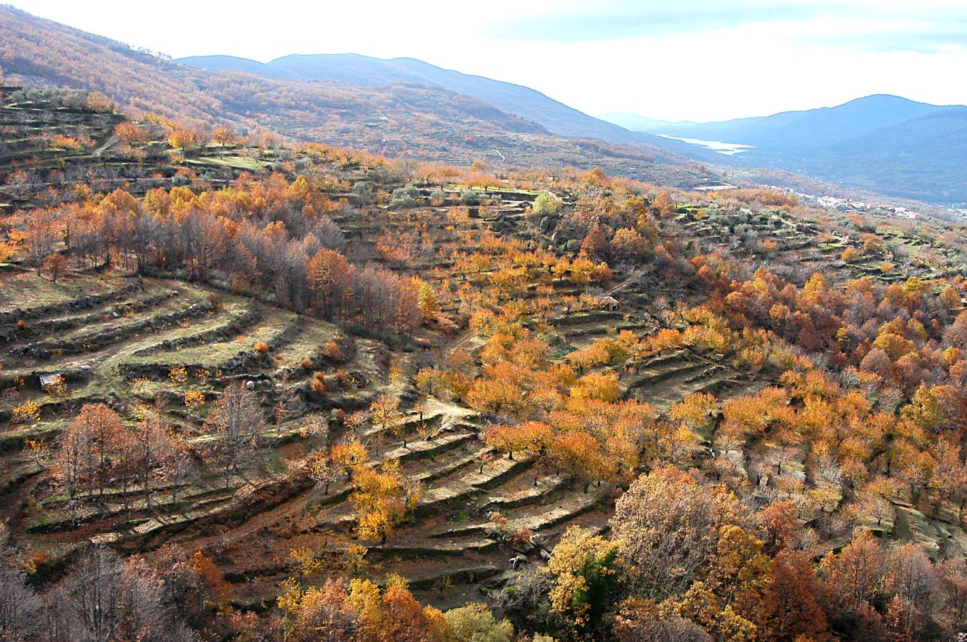 El otoño en el Valle del Jerte