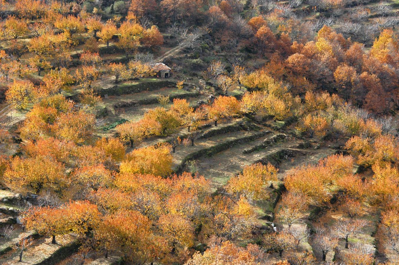 El otoño en el Valle del Jerte