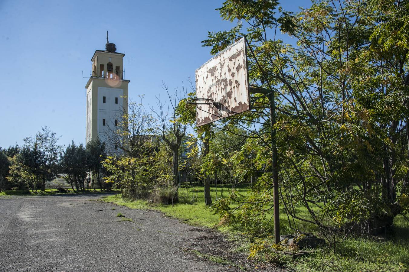 La maleza invade la colonia de la base de Talavera