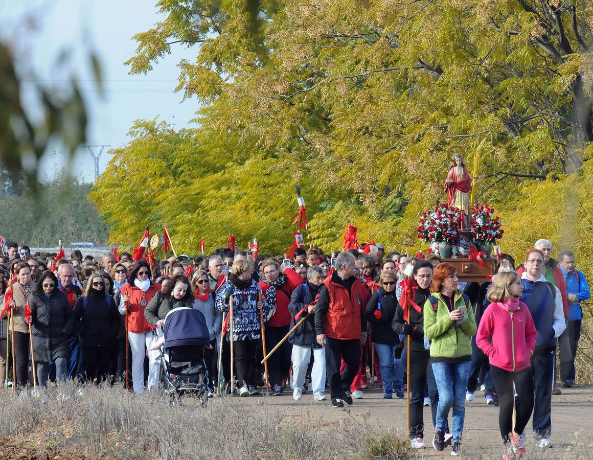 Miércoles, 9 de diciembre. Unas 2000 personas participaron en la XX Peregrinación en honor a Santa Eulalia desde la Ermita de Perales en Arroyo Fotografías: Brígido Fernández