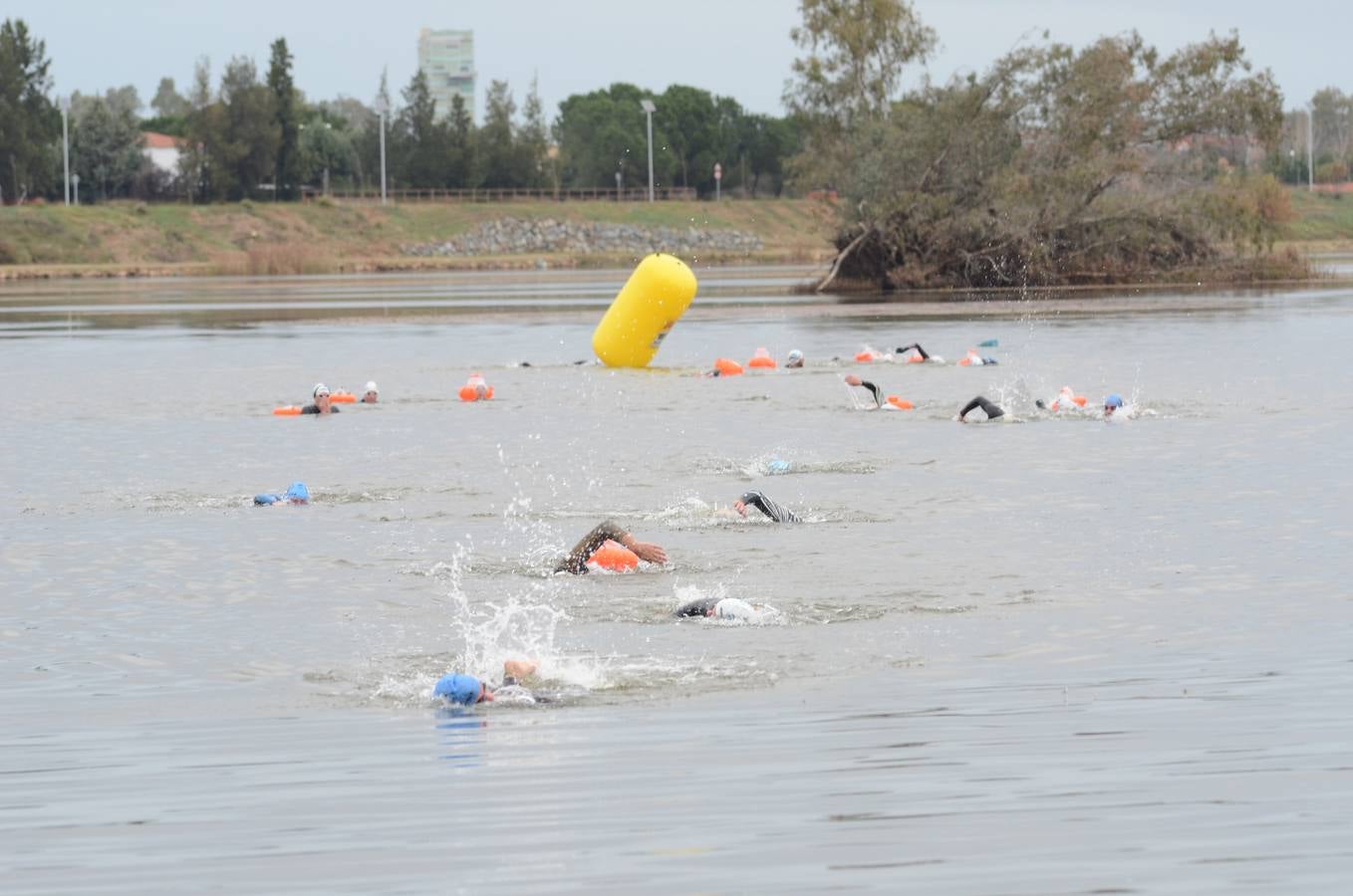 Jueves, 31 de diciembre: Badajoz acogió la tercera edición de la 'Swim Silvestre' en la que un grupo de veinte nadadores quisieron despedir el año en el cauce del río Guadiana. Fotografías: Casimiro Moreno.