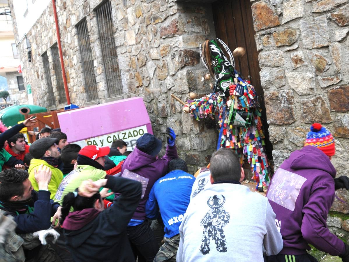 Martes, 19 de enero: Los vecinos de la localidad cacereña de Piornal pidieron la declaración de interés turístico internacional para su Jarramplas y lo hicieron como es tradición, con una lluvia de nabos sobre este mítico personaje que es el epicentro de la fiesta más impactante de toda Extremadura. Fotografías: David Palma