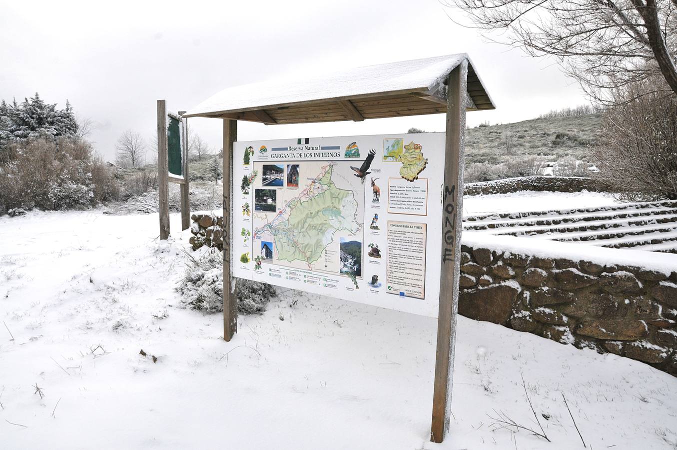 Primera nevada en el Puerto de Tornavacas