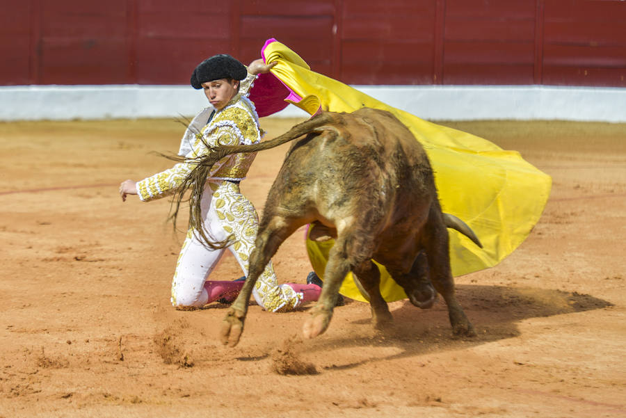 Firmeza del extremeño Ginés Marín, preparado para afrontar nuevos retos