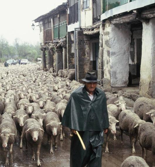 Las rutas trashumantes de Cesáreo Rey