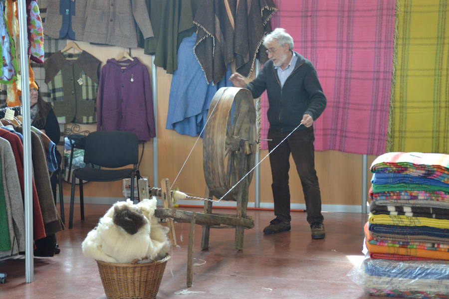 Campeonato de España de Merinas VIII Open de Esquileo de Extremadura