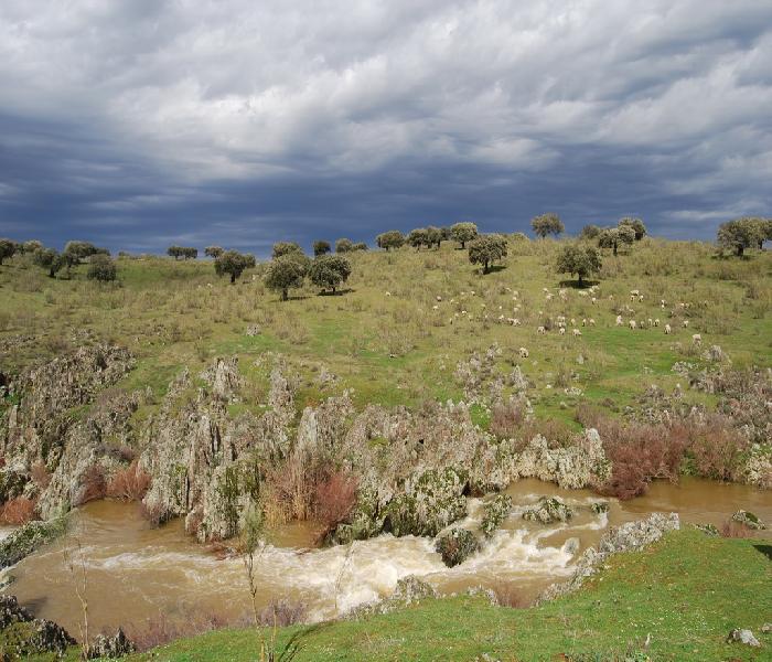 La Siberia quiere ser Reserva de la Biosfera