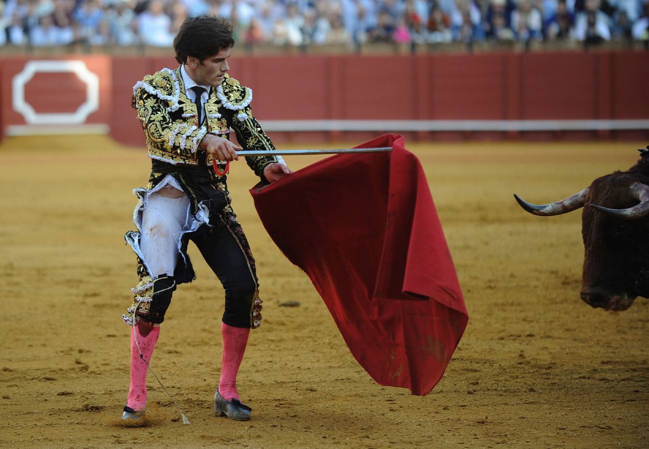 Jueves, 14 de abril: El torero de Badajoz firmó un trabajo conmovedor por el riesgo y el rigor con un violento e incierto toro de Cuvillo que lo cogió de lleno pero no llegó a herirlo. Fotografía: Agencias
