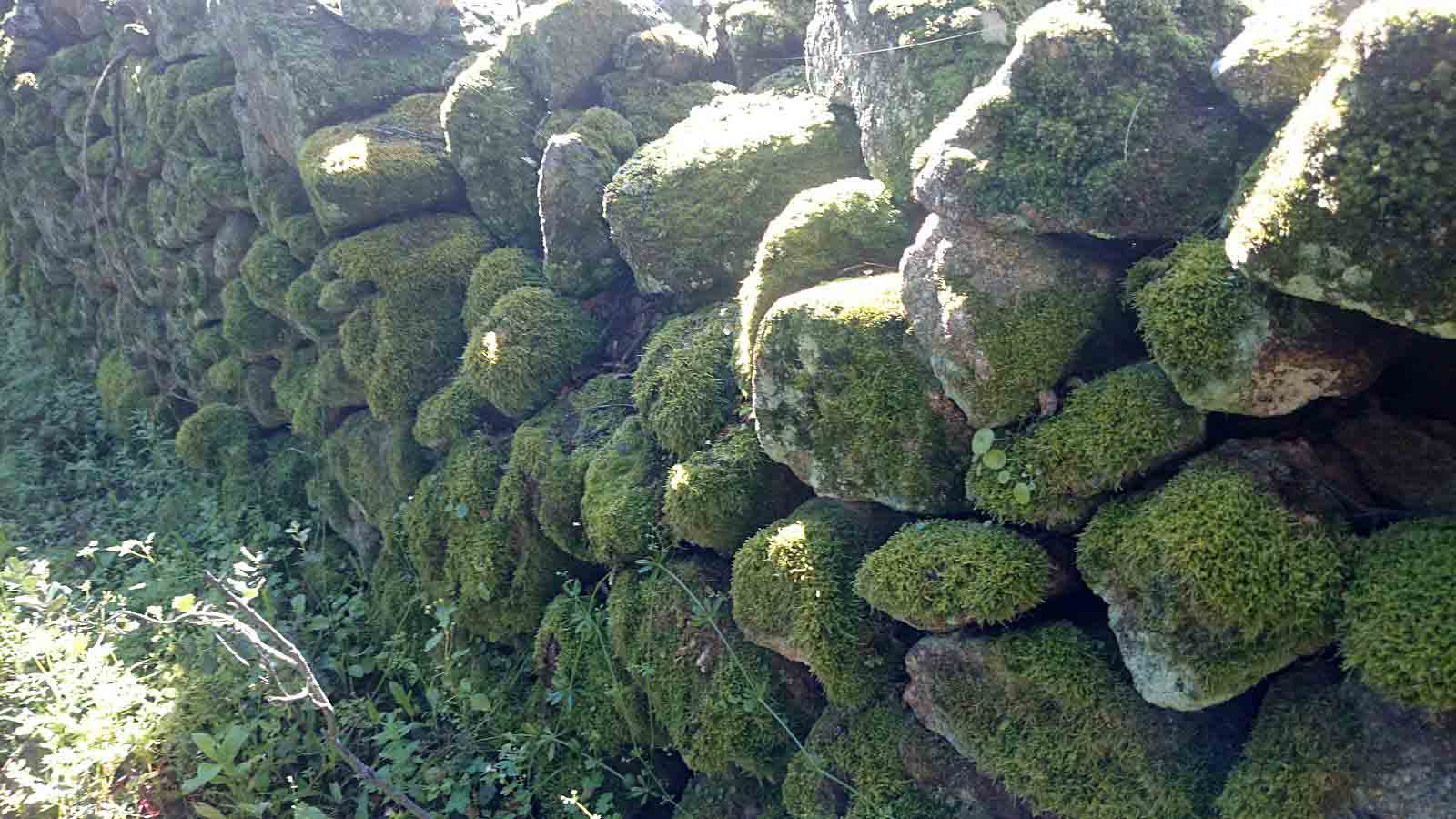 La primavera en el norte de Extremadura