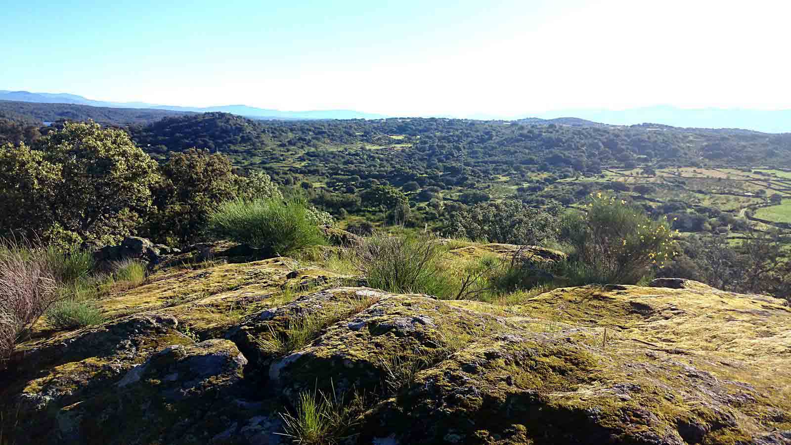 La primavera en el norte de Extremadura