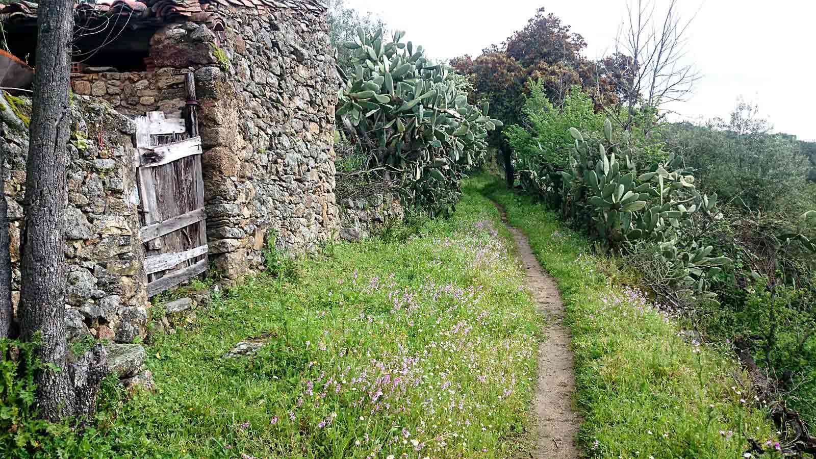 La primavera en el norte de Extremadura