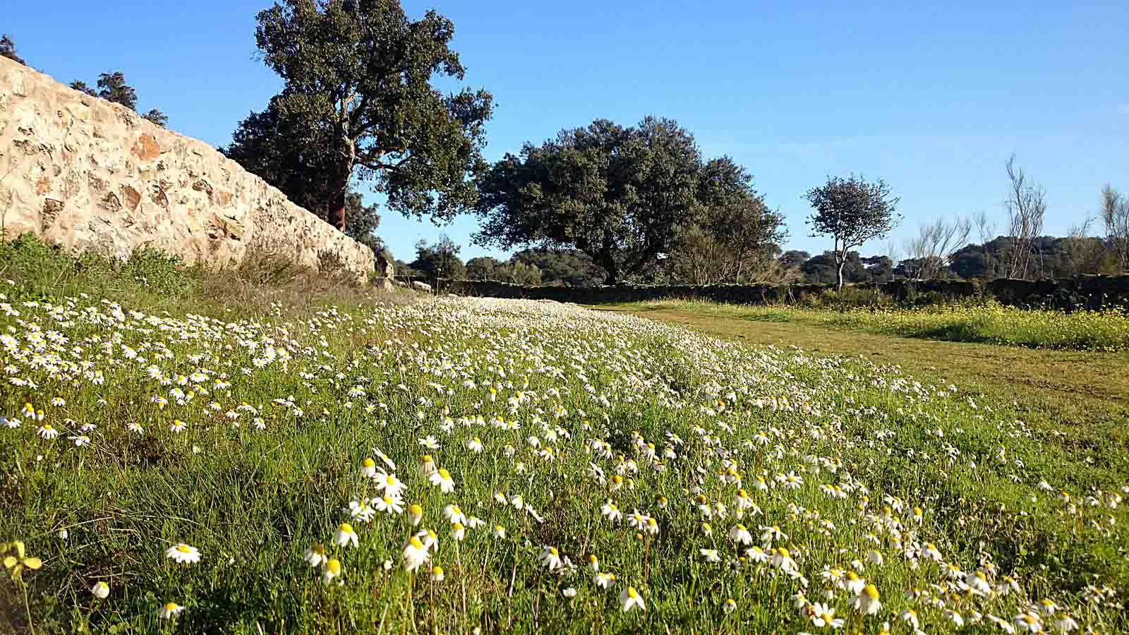 La primavera en el norte de Extremadura