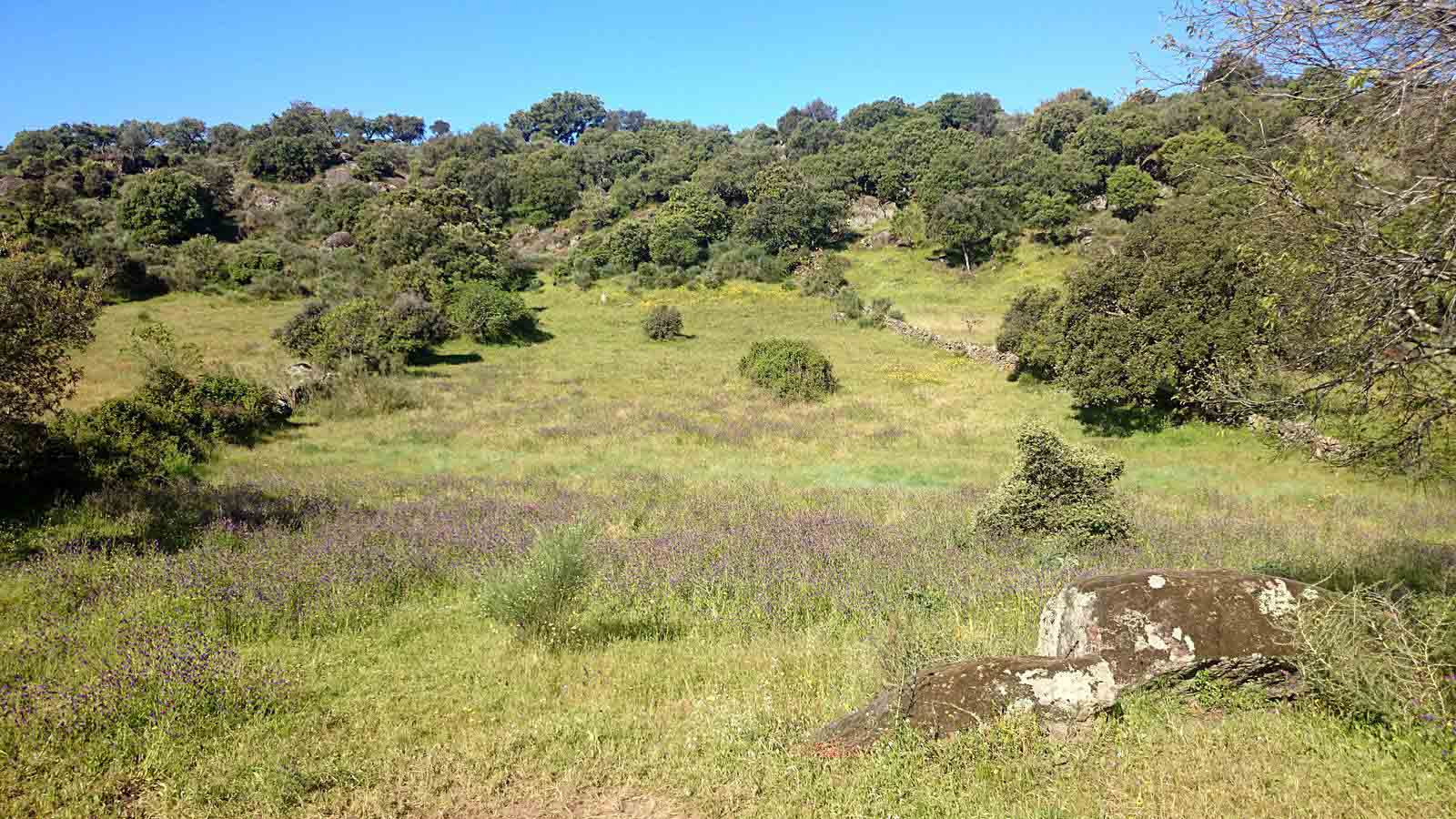 La primavera en el norte de Extremadura