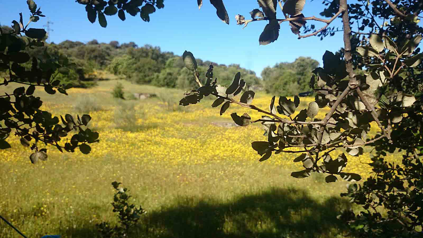 La primavera en el norte de Extremadura