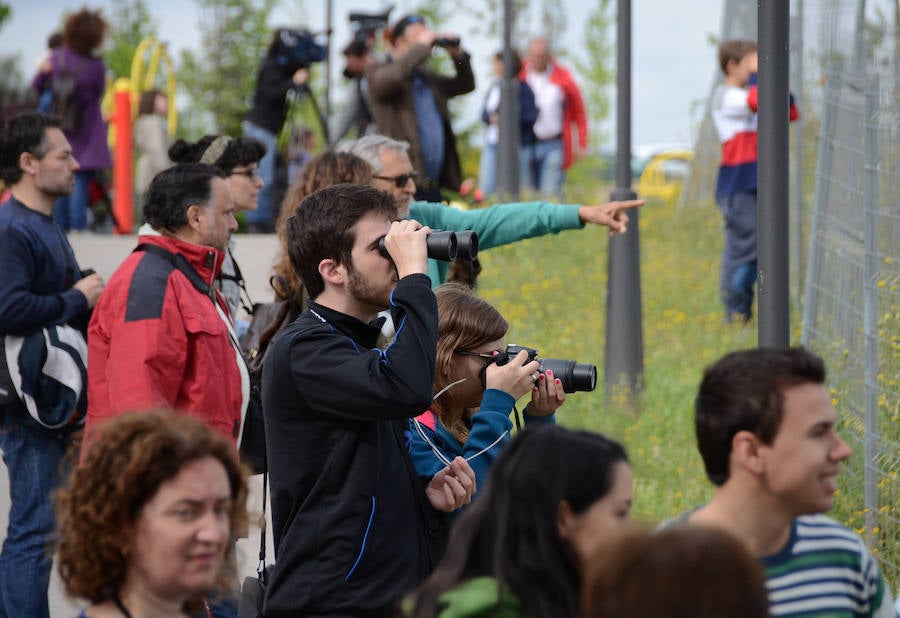 La avifauna del Guadiana a su paso por Badajoz