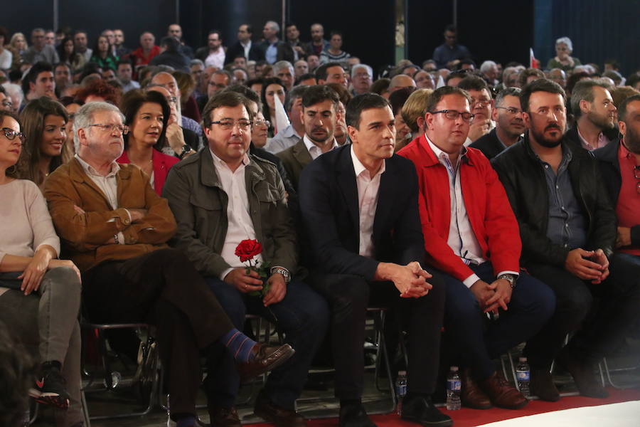 El Día de la Rosa, en Mérida