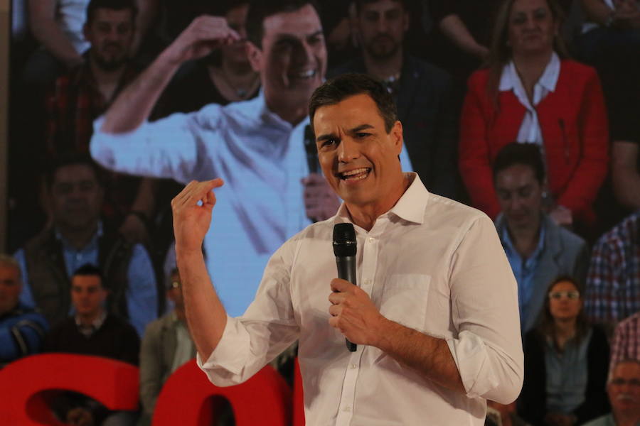 El Día de la Rosa, en Mérida