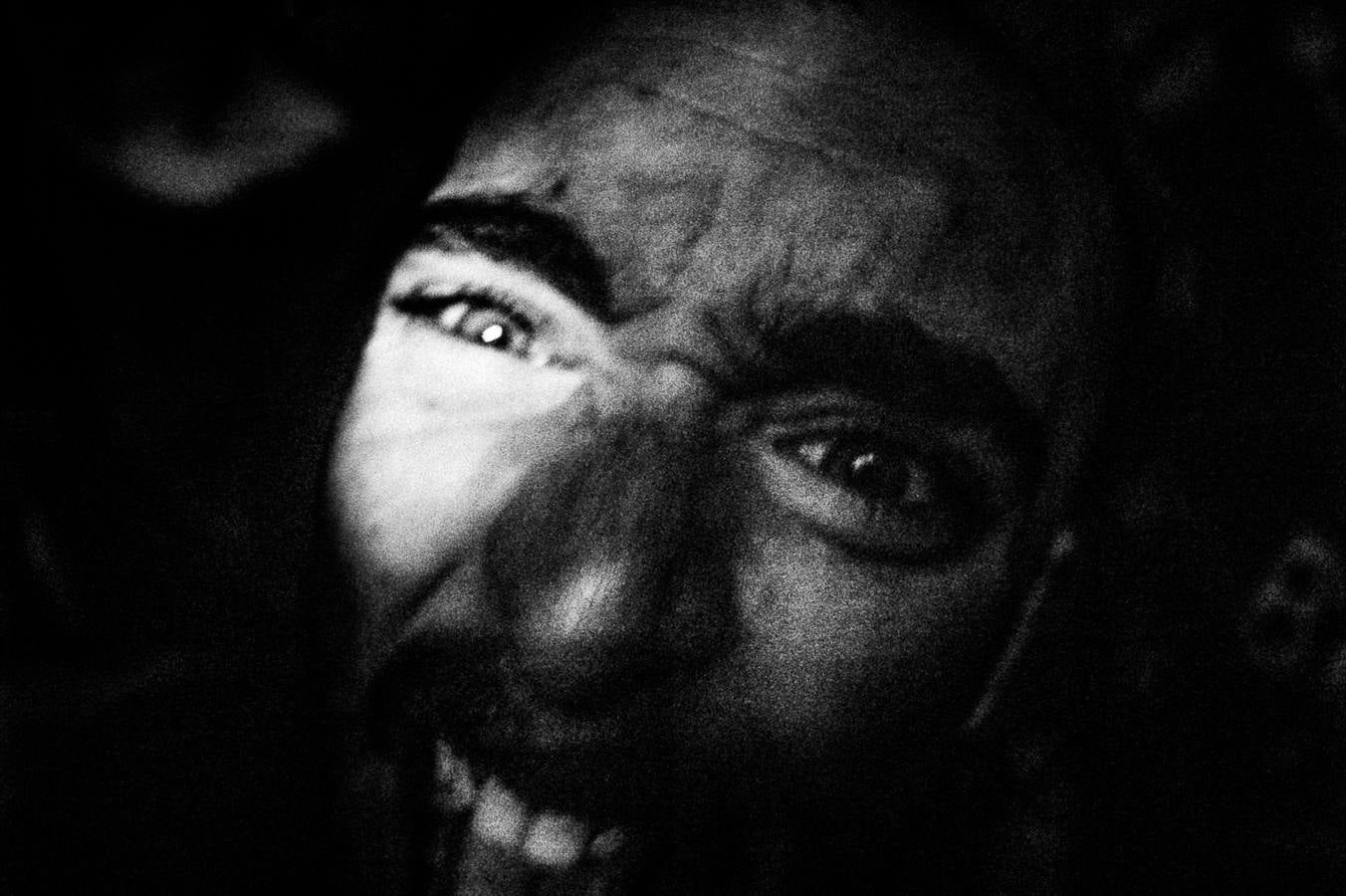 De festivales con la cámara