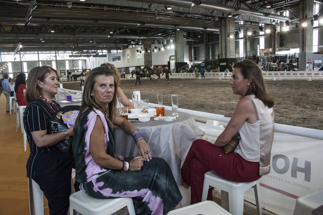 Inauguración de la VIII edición de Ecuextre