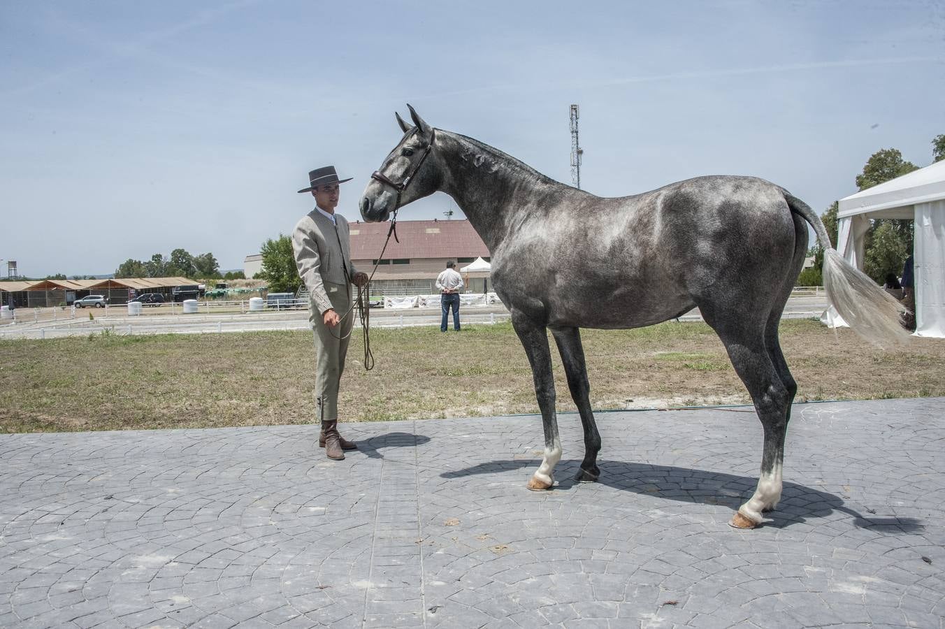 Inauguración de la VIII edición de Ecuextre