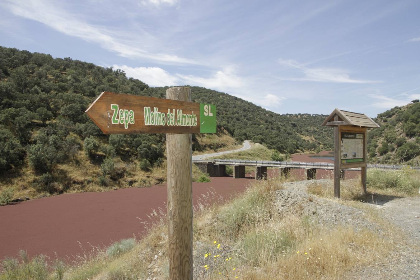 Lunes, 6 de junio: El ‘Helecho de agua’ es una planta acuática invasora procedente de América que se ha extendido por Extremadura en el río Almonte a la altura de Monroy. Fotografías: Armando Méndez