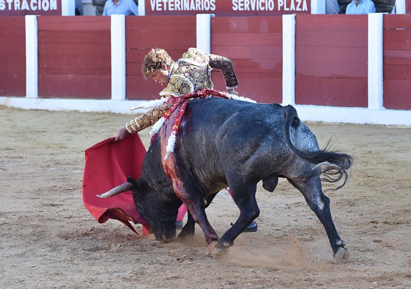 Sólo Juan del Álamo pudo aprovechar una complicada victorinada en Plasencia