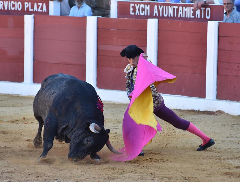 Sólo Juan del Álamo pudo aprovechar una complicada victorinada en Plasencia