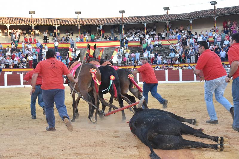 Sólo Juan del Álamo pudo aprovechar una complicada victorinada en Plasencia