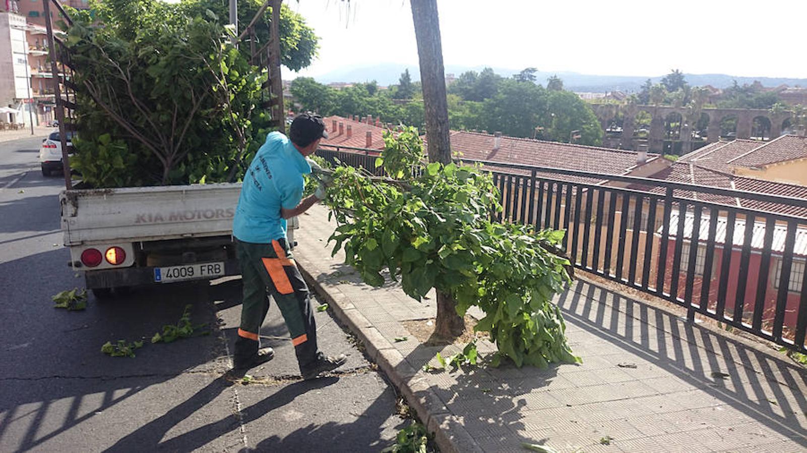Una fuerte tormenta provoca el caos en Plasencia